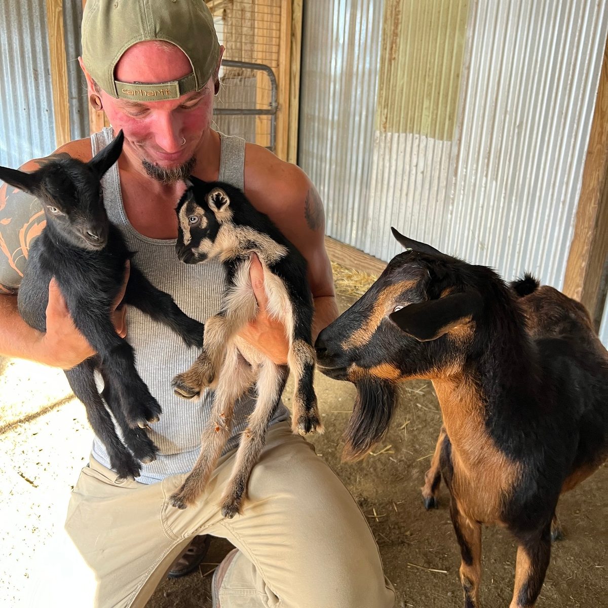 Animals being cared for at Ranch House Recovery