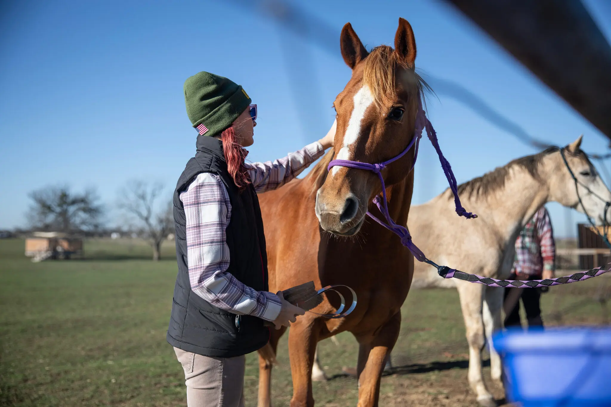 client caring for farm animals in addiction recovery