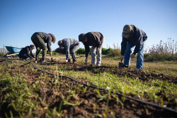 Could Wellness Farms Change the Face of Opioid Recovery? A Closer Look at RFK Jr’s Bold Proposal