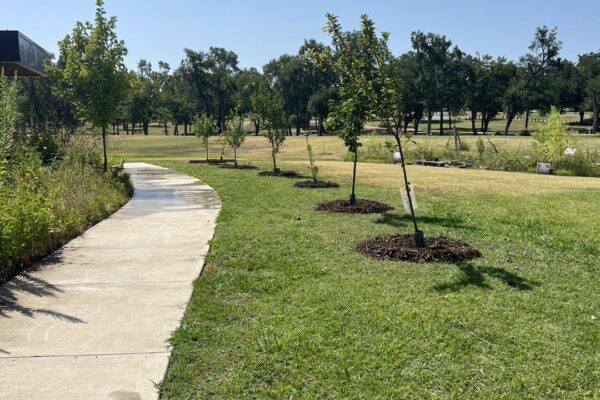 Long-Term Drug Rehab in Austin: Why 30 Days Isn’t Enough for Most Addictions