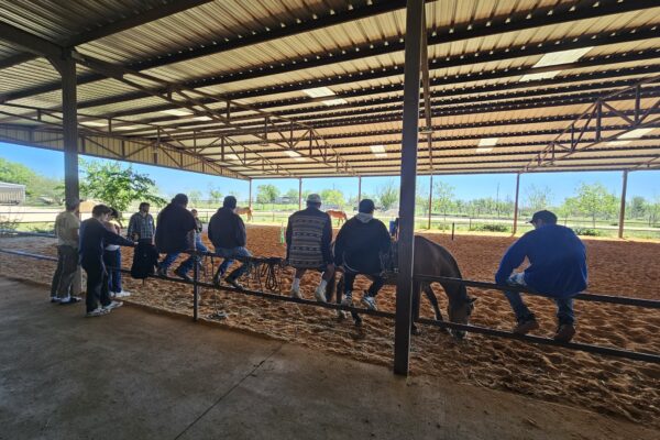Ranch Rehab: How a Working Ranch Changes the Way Recovery Works