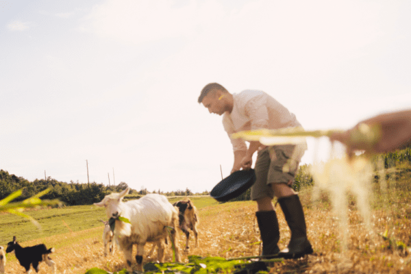 Hope in the Numbers: How Ranch House Recovery Is Changing the Landscape of Addiction Recovery in America