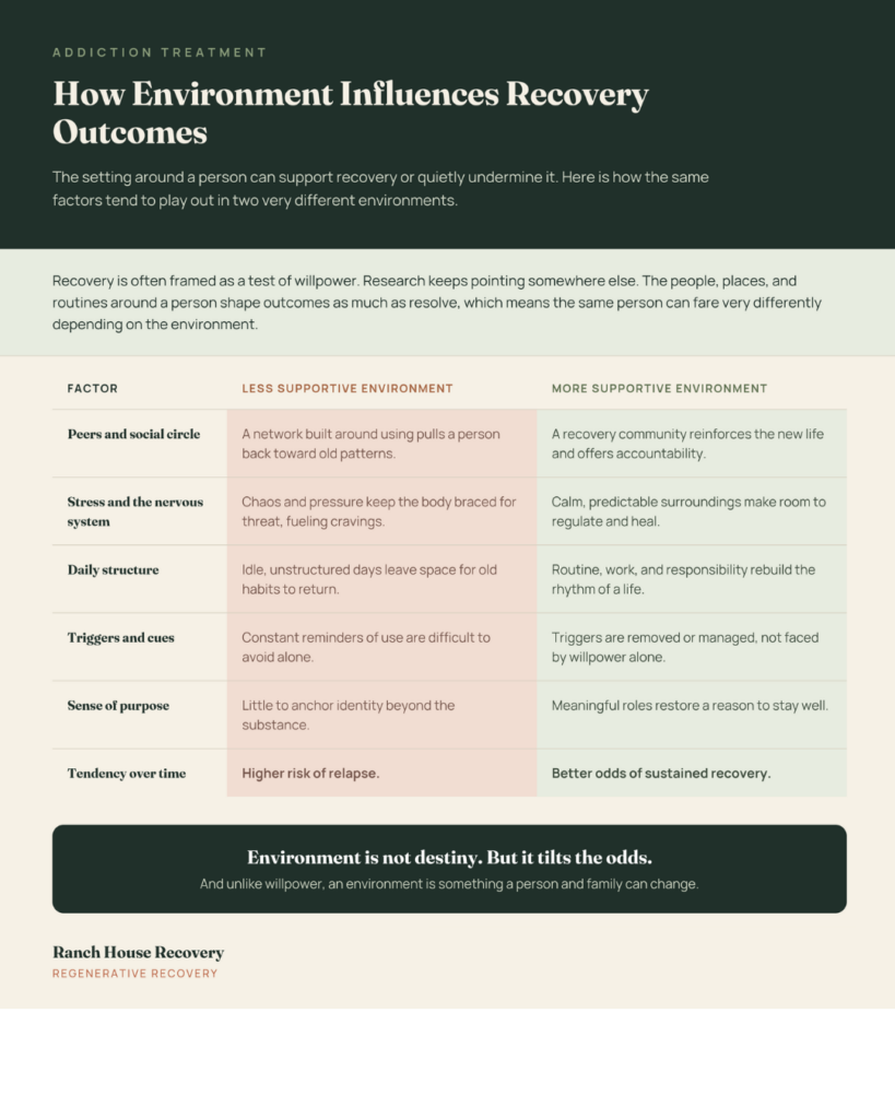 Infographic. Why Environment Matters in Addiction Recovery