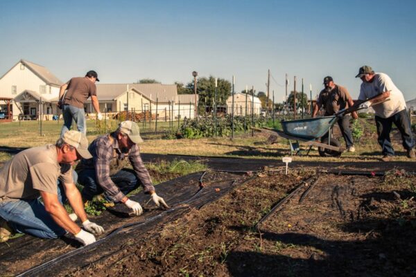 The Brotherhood Factor: Why Community Is the Most Powerful Force in Men’s Recovery