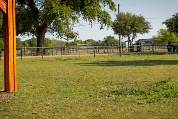 Best Rehabs in Texas: How to Choose the Right Program in 2026