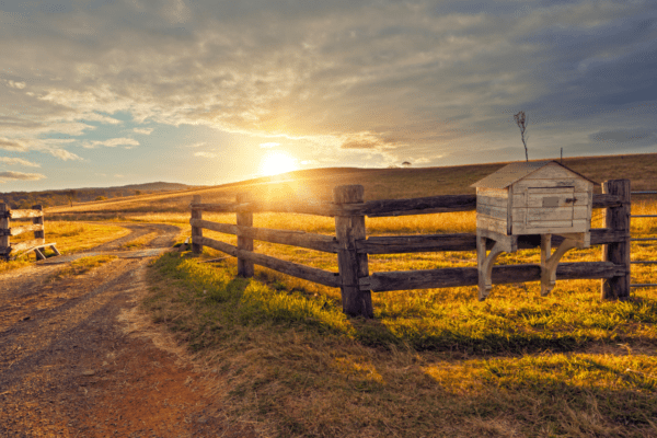 Understanding the Opioid Settlement and What It Means for Recovery in Texas