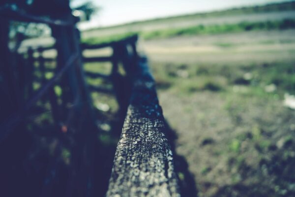 Why Holistic, Ranch-Based Rehab Works: The Healing Power of Nature & Community